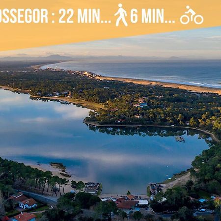 Hossegor - Vue Ocean - Plage - Couple - Famille Сорт-Осгор Экстерьер фото